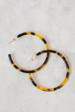 St Armands Tortoise Hoop