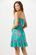 Ryden Mini Dress: Vintage Hawaiian Tosca / One Size